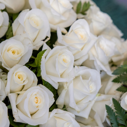 bouquet of white roses for Melbourne wedding