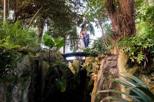 A newly wed couple are standing on a bridge in a Perth botanical garden.